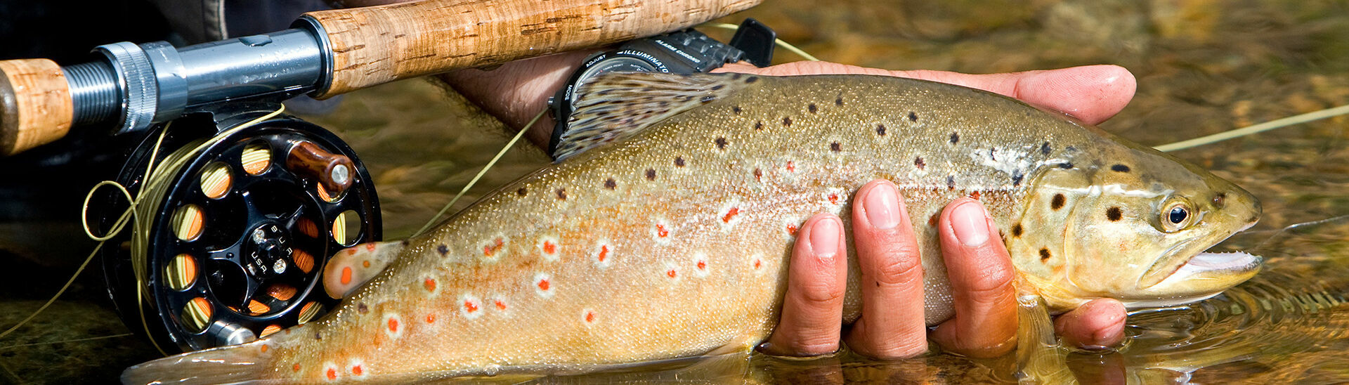 Fischen am Achensee Der Achensee beherbergt eine Vielzahl an unterschiedlichen Fischarten und ist ein schönes Ausflugsziel für Angelliebhaber.}