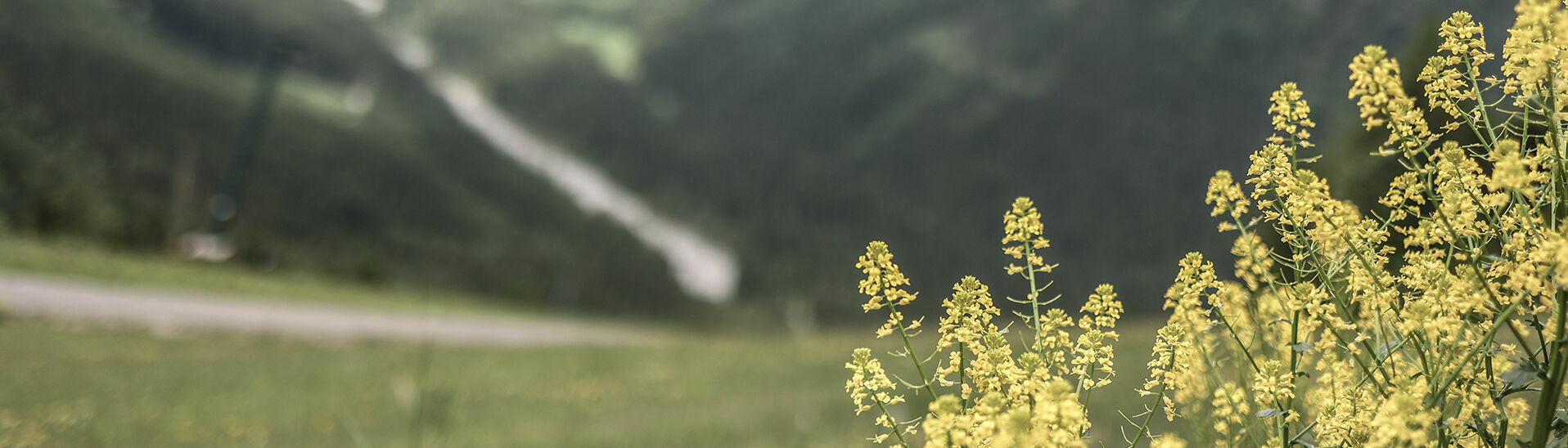 Die Naturlandschaft am Zwölferkopf ist bei jedem Wetter ein toller Anblick.}
