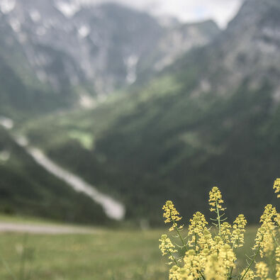 Die Naturlandschaft am Zwölferkopf ist bei jedem Wetter ein toller Anblick.