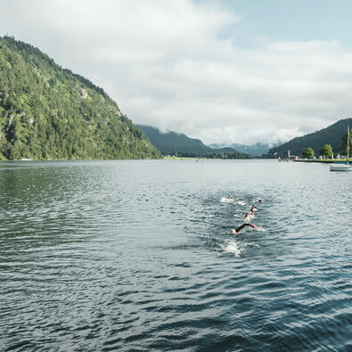 Langstreckenschwimmer durchqueren den Achensee