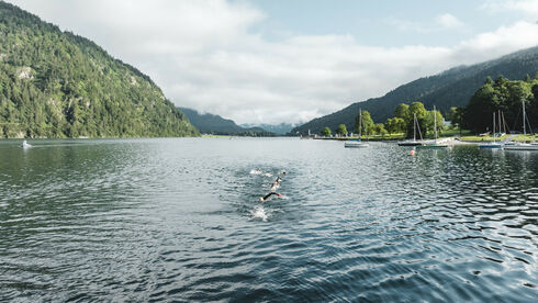 langstreckenschwimmen-achensee.jpg