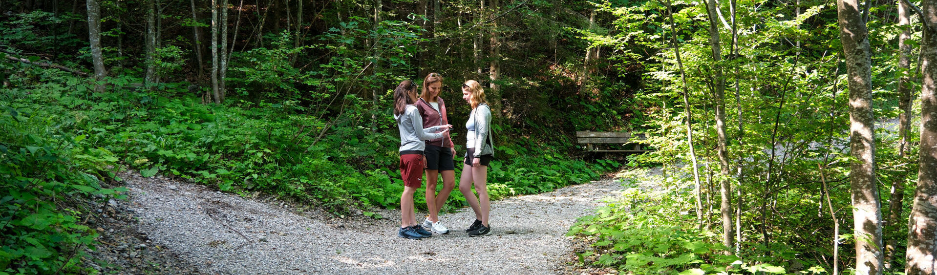 Drei Frauen stehen auf dem Wunderweg „Besinnung am Achensee", umgeben von Bäumen und dichter Vegetation. Sie scheinen eine Karte oder ein Smartphone zu betrachten, während der Weg sich in zwei Richtungen teilt. Die Sonne scheint durch die Blätter und schafft eine freundliche Atmosphäre.