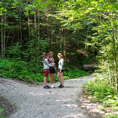 Drei Frauen stehen auf dem Wunderweg „Besinnung am Achensee", umgeben von Bäumen und dichter Vegetation. Sie scheinen eine Karte oder ein Smartphone zu betrachten, während der Weg sich in zwei Richtungen teilt. Die Sonne scheint durch die Blätter und schafft eine freundliche Atmosphäre.