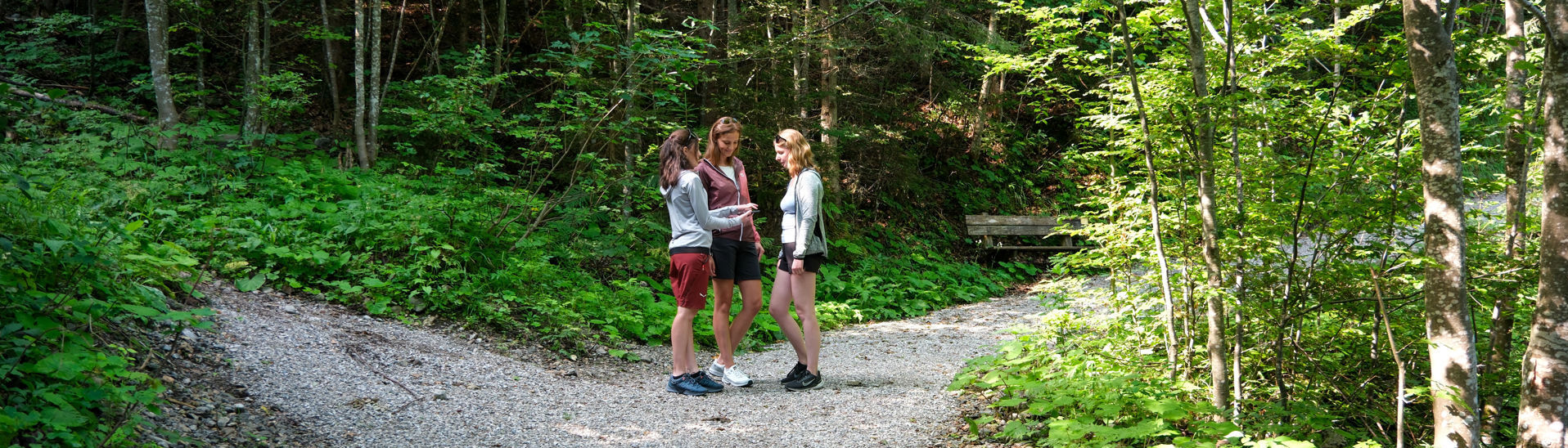 Drei Frauen stehen auf dem Wunderweg „Besinnung am Achensee", umgeben von Bäumen und dichter Vegetation. Sie scheinen eine Karte oder ein Smartphone zu betrachten, während der Weg sich in zwei Richtungen teilt. Die Sonne scheint durch die Blätter und schafft eine freundliche Atmosphäre.}