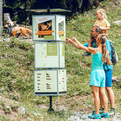 Auf dem Alpentiere Rundwanderweg mit Start bei der Karwendel-Bergbahn am Zwölferkopf könnt ihr Alpentiere in ihrer natürlichen Umgebung betrachten.