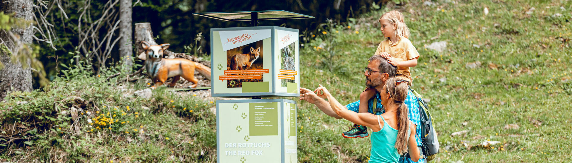 Der Alpentiere Rundwanderweg Auf dem Alpentiere Rundwanderweg mit Start bei der Karwendel-Bergbahn am Zwölferkopf könnt ihr Alpentiere in ihrer natürlichen Umgebung betrachten.}