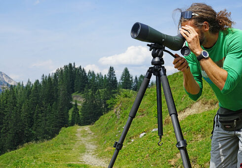 Ein Mann schaut durch sein Teleskop einer Steinadlerwanderung im Naturpark Karwendel zu.
