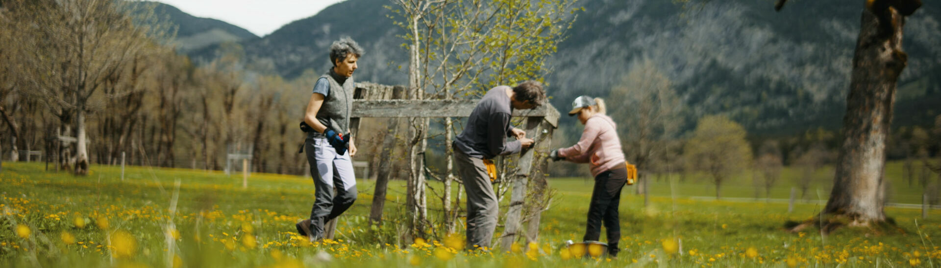Ein Mann beteiligt sich an den Zaunreparaturen am Ahornboden im Naturpark Karwendel.}