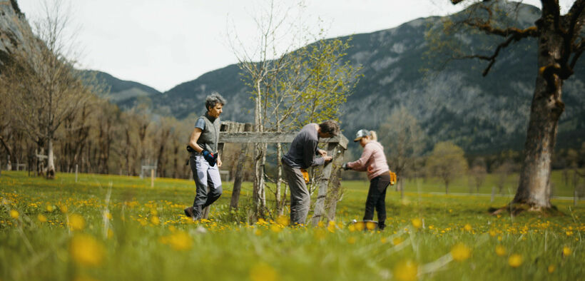 A man repairs a fence at Ahornboden in the Karwendel Nature Park.