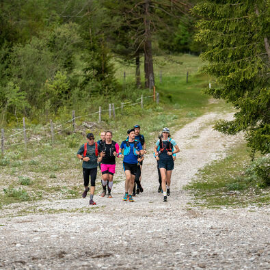Eine Läufergruppe unterwegs auf Schotterwegen in der Naturlandschaft am Achensee.