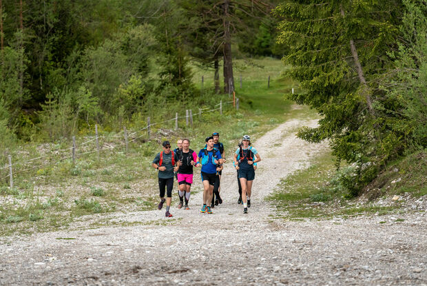 Laufen am Achensee Eine Läufergruppe unterwegs auf Schotterwegen in der Naturlandschaft am Achensee.