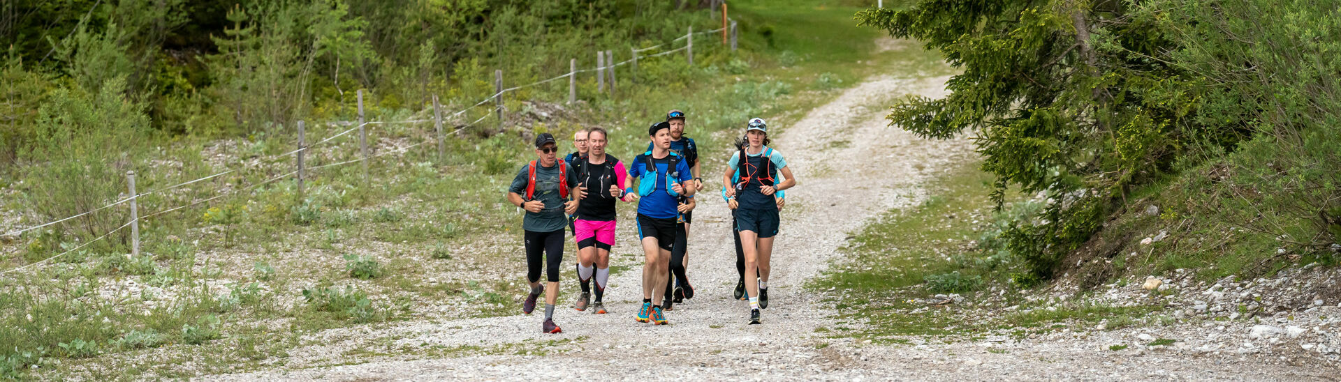 Laufen am Achensee Eine Läufergruppe unterwegs auf Schotterwegen in der Naturlandschaft am Achensee.}
