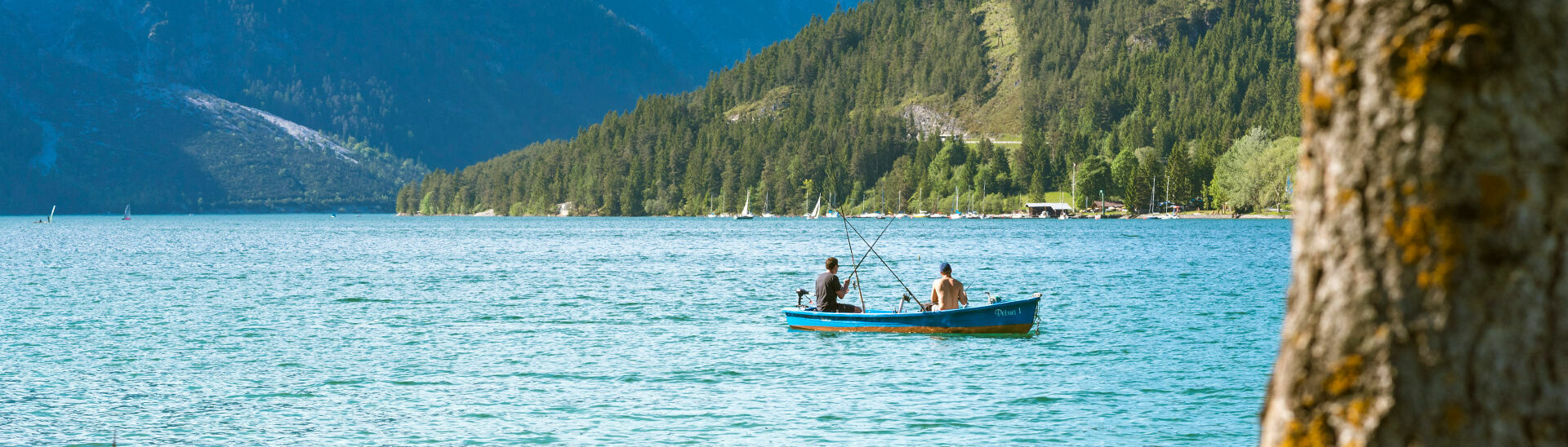 Fischen am Achensee Der Achensee beherbergt eine Vielzahl an unterschiedlichen Fischarten und ist ein schönes Ausflugsziel für Angelliebhaber.}