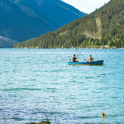 Der Achensee beherbergt eine Vielzahl an unterschiedlichen Fischarten und ist ein schönes Ausflugsziel für Angelliebhaber.