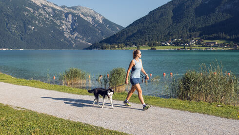 hund-achensee-spazieren.jpg