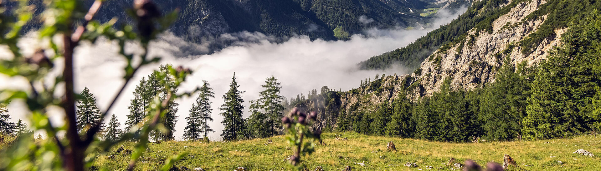 Nature Park Karwendel This photo captures the mystical atmosphere of the Nature Park Karwendel, a veil of mist hovering over the valleys.}