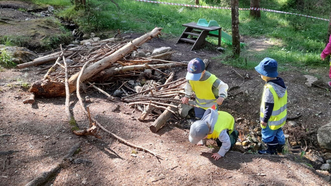 Kinderkrippe am Achensee Die Kinderkrippe Butterblumenkinder ist im Wald am Achensee unterwegs.
