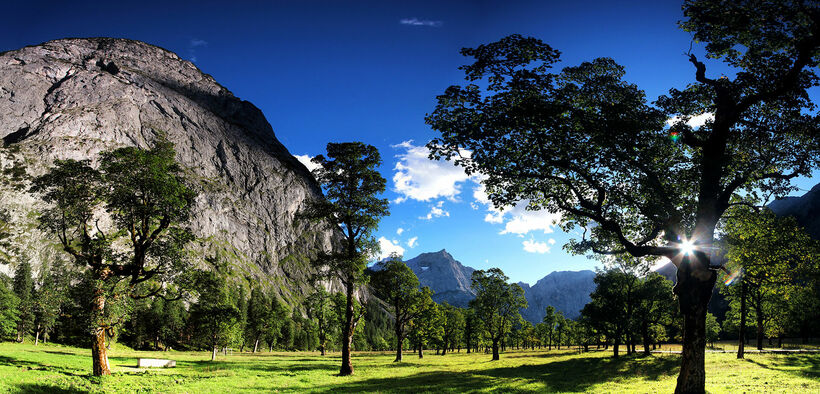 Beautiful view of the maple trees of the Ahornboden backdropped by the mountains.