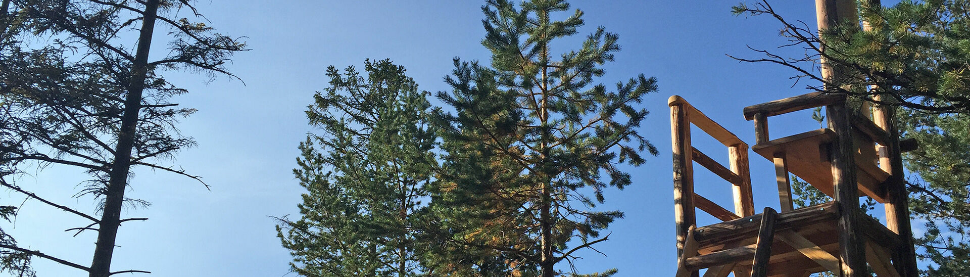 Kaiser Maximilian Rast in Achenkirch am Achensee Der hölzerner Thron, welcher sich bei der Kaiser Maximilian Rast befindet, ermöglicht einen wunderschönen Ausblick.}