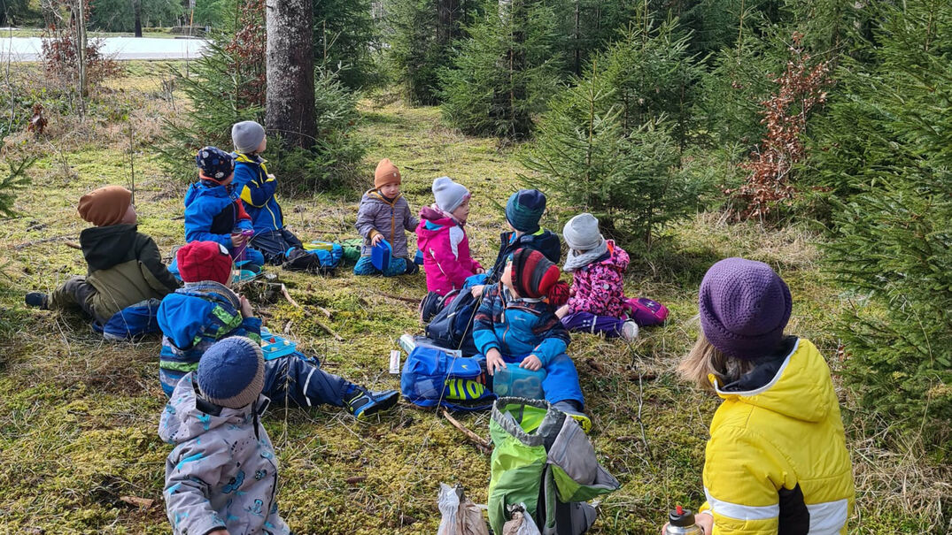 Kinderbetreuung am Achensee Eine Gruppe Kinder genießen ihre Jause in einem Wald am Achensee.
