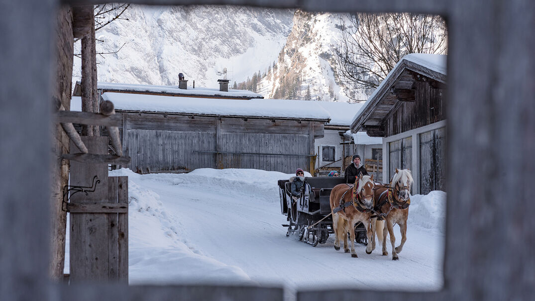 Pferdekutschenfahrt am Achensee Abseits der Piste eignet sich eine Kutschenfahrt perfekt, um die Gegend rund um den Achensee zu erkunden.
