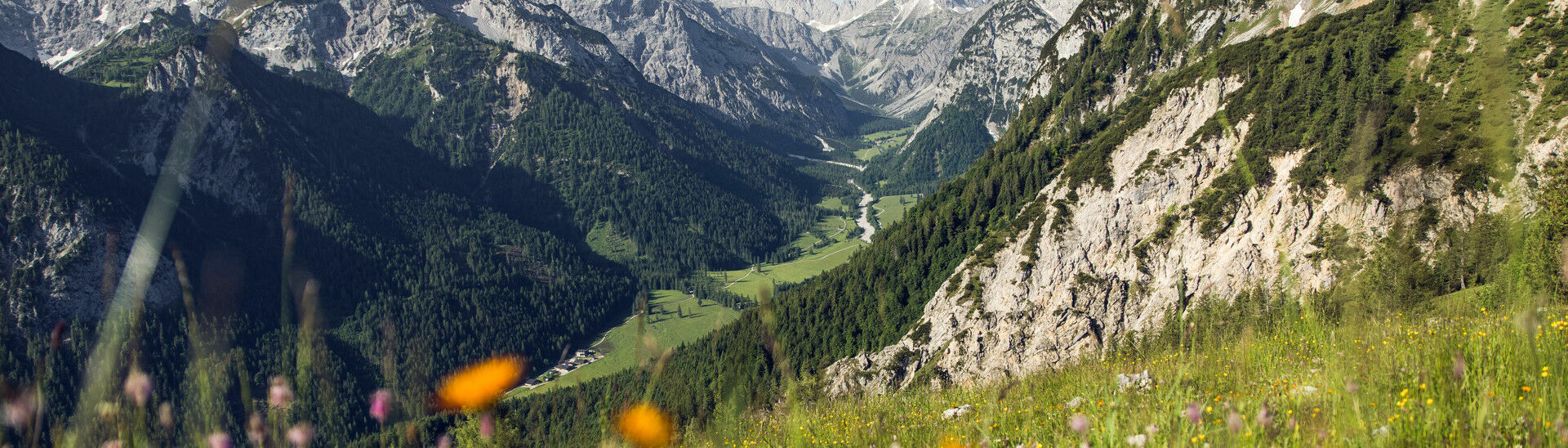 Das Karwendelgebirge Das Falzthurntal im Naturpark Karwendel zeigt sich im Sommer von seiner schönsten Seite: Hohe, schroffe Berge ragen empor, umgeben von bunten Wiesen und malerischen Waldlandschaften.}