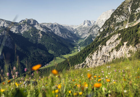 Das Falzthurntal im Naturpark Karwendel zeigt sich im Sommer von seiner schönsten Seite: Hohe, schroffe Berge ragen empor, umgeben von bunten Wiesen und malerischen Waldlandschaften.
