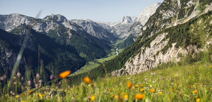 Das Falzthurntal im Naturpark Karwendel zeigt sich im Sommer von seiner schönsten Seite: Hohe, schroffe Berge ragen empor, umgeben von bunten Wiesen und malerischen Waldlandschaften.