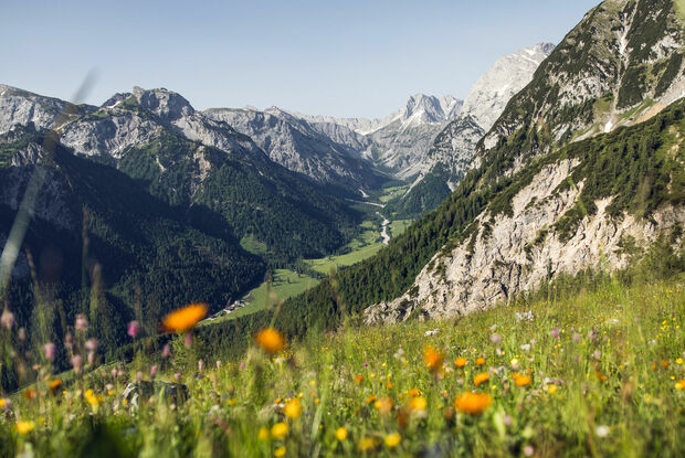 Das Karwendelgebirge Das Falzthurntal im Naturpark Karwendel zeigt sich im Sommer von seiner schönsten Seite: Hohe, schroffe Berge ragen empor, umgeben von bunten Wiesen und malerischen Waldlandschaften.