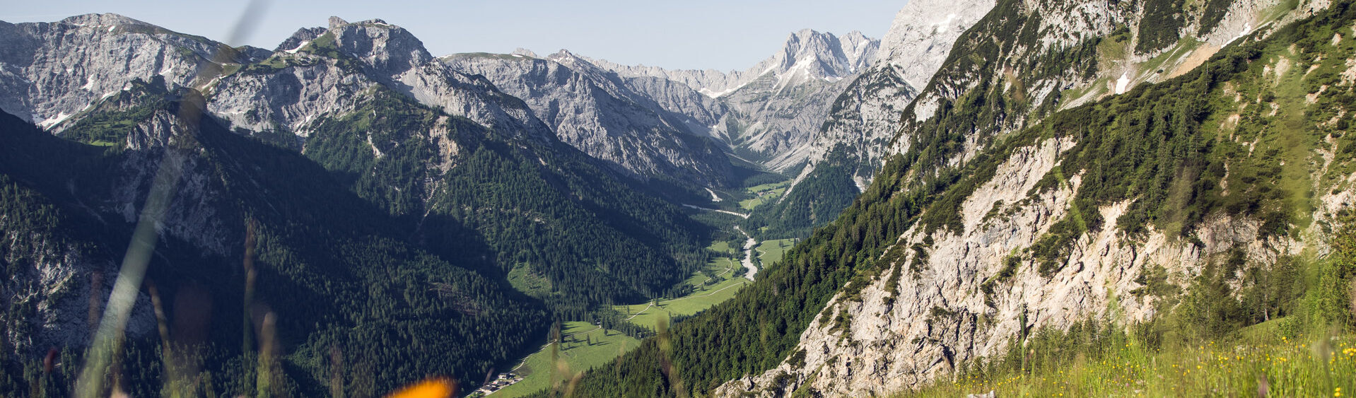 Das Falzthurntal im Naturpark Karwendel zeigt sich im Sommer von seiner schönsten Seite: Hohe, schroffe Berge ragen empor, umgeben von bunten Wiesen und malerischen Waldlandschaften.