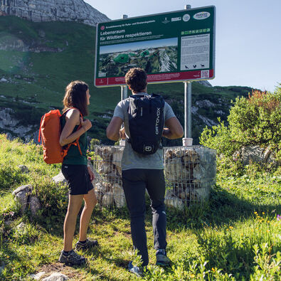 Ein Pärchen erkundet den Naturlehrpfad Rofan und informiert sich über das richtige Verhalten in der Natur. 