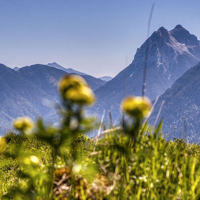 Naturlandschaft am Achensee mit Blick auf den Guffert