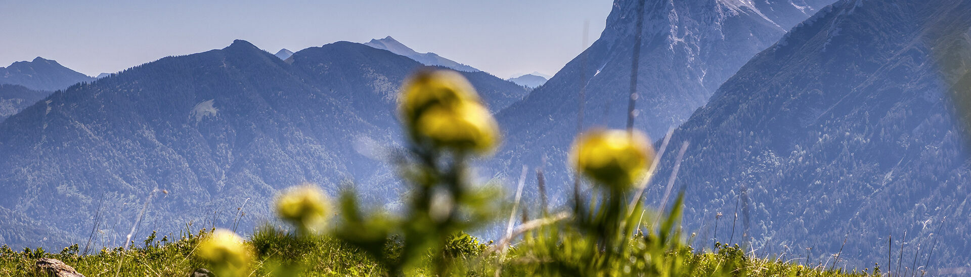 Naturlandschaft am Achensee mit Blick auf den Guffert Naturlandschaft am Achensee mit Blick auf den Guffert}