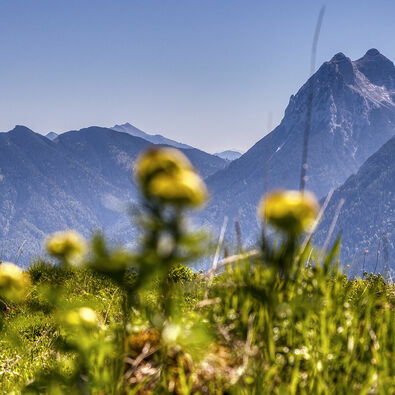 Naturlandschaft am Achensee mit Blick auf den Guffert