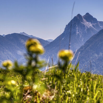 Natural landscape at Lake Achensee with a view to the guffert
