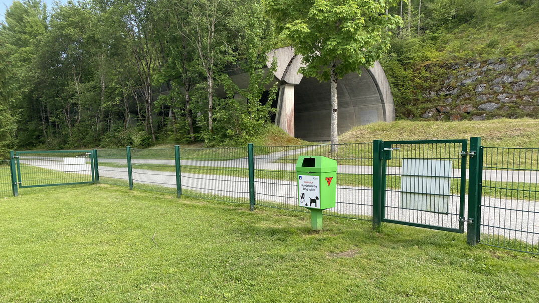 Hundetoilette am Achensee Eine Hundetoilette am Hundebadestrand in Pertisau am Achensee.
