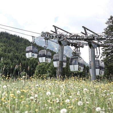 Die Karwendel Bergbahn über einem Blumenfeld im Sommer kurz nachdem sie die Bodenstation verlassen hat.