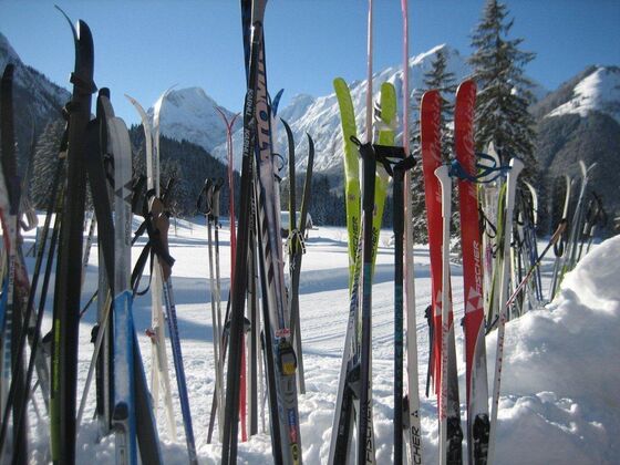 Appartements Lechner