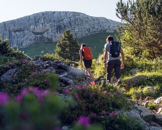 Bergstation Rofan Seilbahn - Schafsteigsattel - Kramsach - Rofanüberquerung