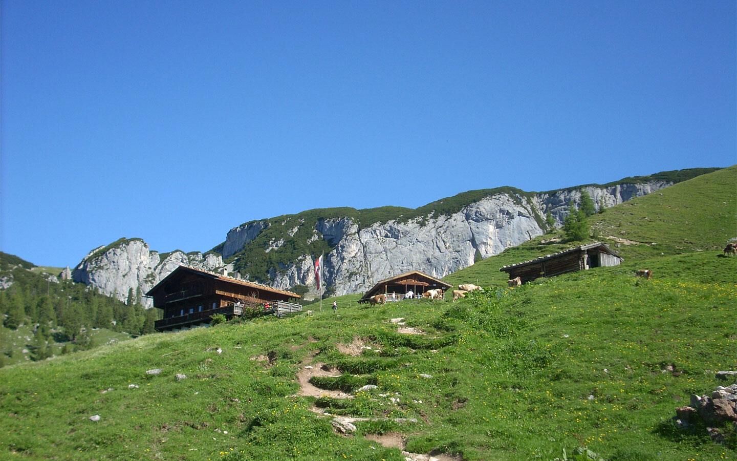 Dalfaz-Alm-Sommer.jpg