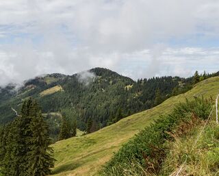 Achenkirch - Blaubergalm - Achenkirch
