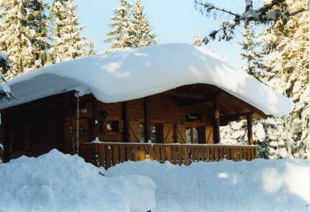 Appartement-Alpen-Winter.jpg