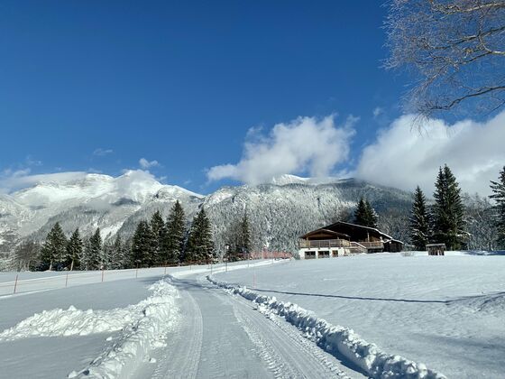 Apartment Silberwald