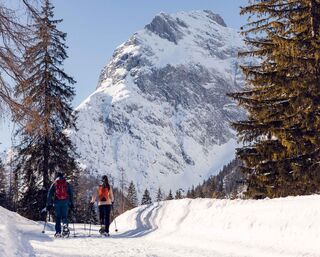 Pertisau - Falzthurnalm - Gramai Alm - Pertisau