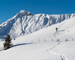 Hochplatte (1.813m) - option 2