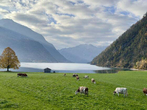 Stiedlhof am Achensee