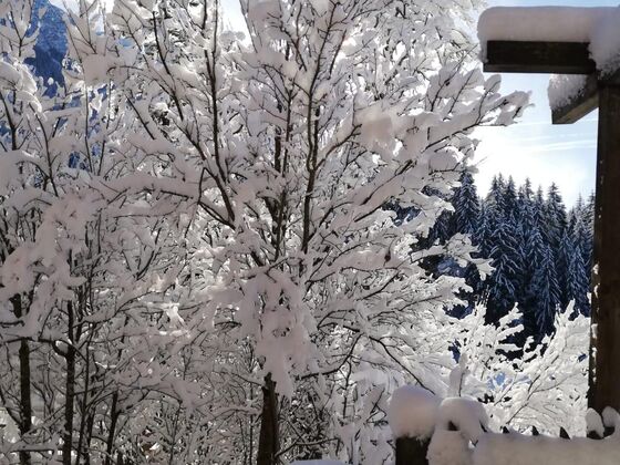 Achentaler Bauernhäusl