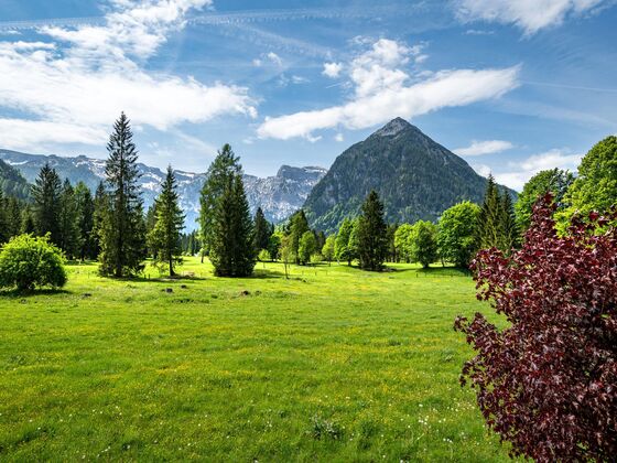 Alpenvital Tirol Appartments