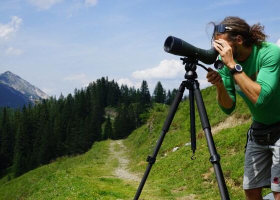 Steinadlerwanderung mit Naturpark-Rangern