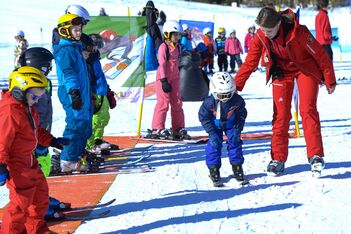 Sample card dwarf lions